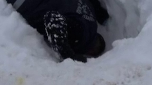 Van'da ekiplerin dikkati yavru köpekleri donmaktan kurtardı