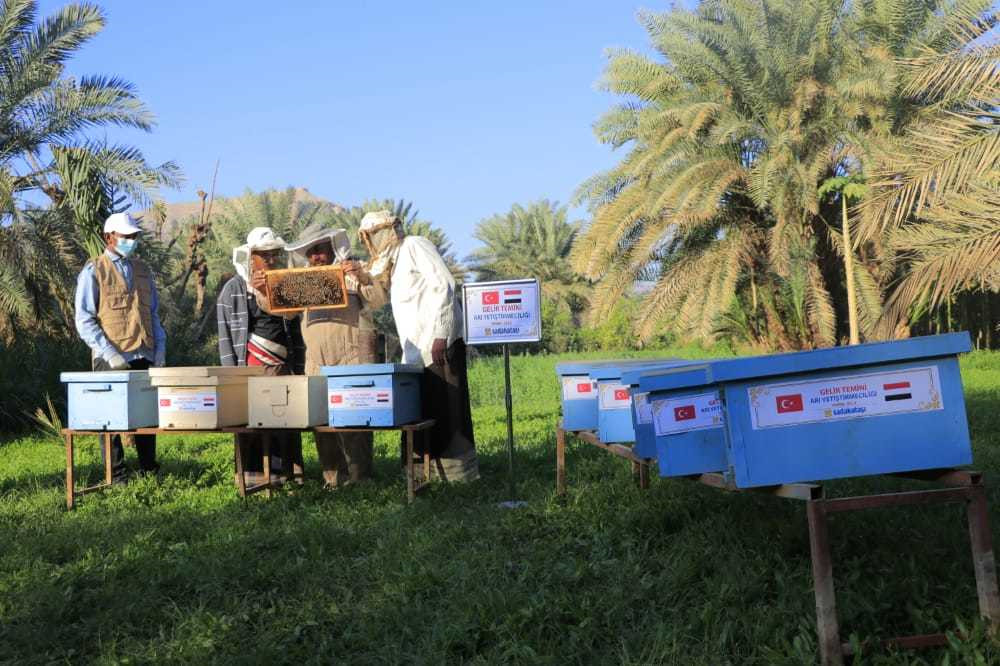 Sadakataşı’ndan Yemenli mültecilere gelir temini desteği.