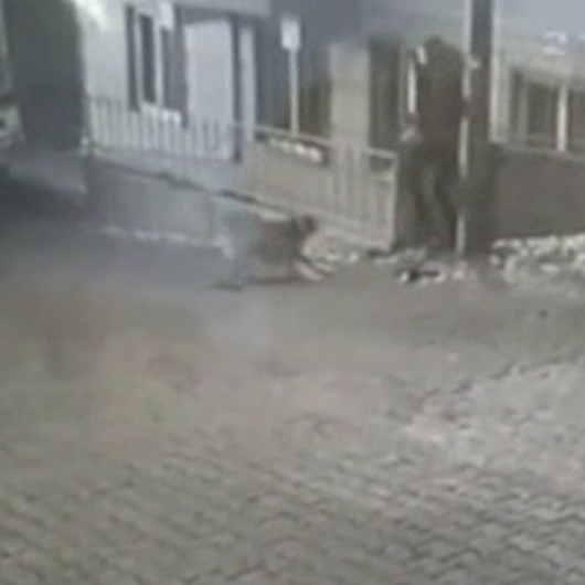 Kastamonuda karne almak için okula giden genç kıza sokak köpekleri saldırdı