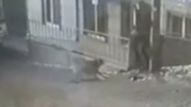 Kastamonu'da karne almak için okula giden genç kıza sokak köpekleri saldırdı