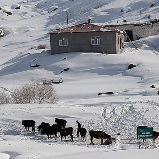 Türkiye'de 1980'de yaşanan korkunç olay: Kar koca köyü yutmuş