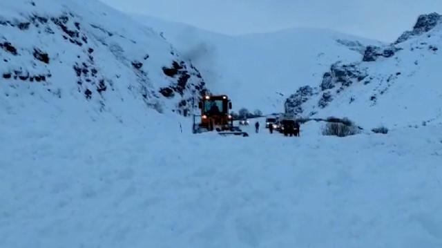 Erzurum'da iki köylünün üzerine çığ düştü