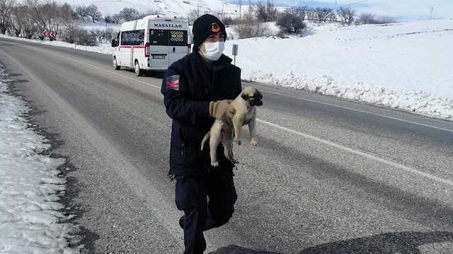Jandarma bitkin halde bulduğu köpeğin yardımına koştu.