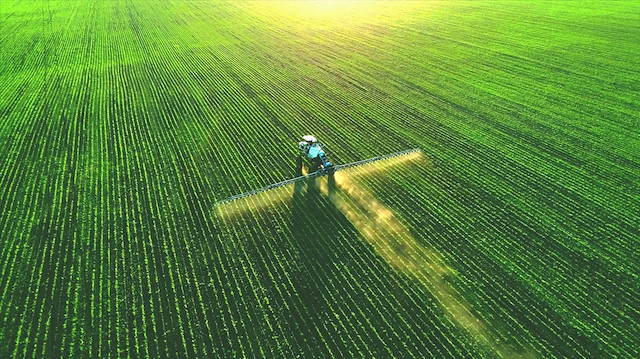 Foto/arşiv