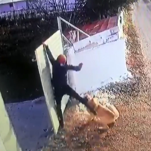 Bir köpek saldırısı daha: Öğretmen kaçmak için duvara tırmandı