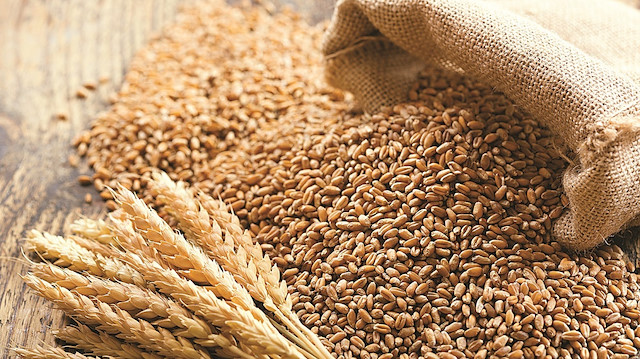 Ekmek krizi korkusu: Buğday fiyatları yüzde 40 arttı