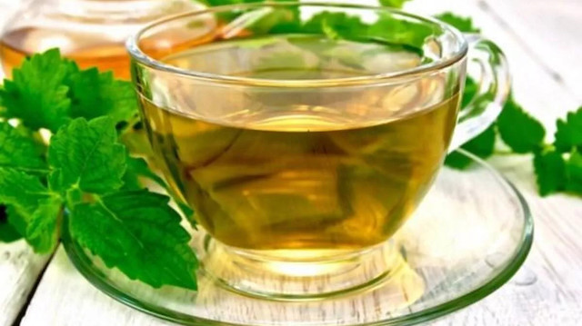 Melisa çayının faydaları nelerdir? Melisa çayının zararları nelerdir? Melisa çayı nasıl hazırlanır?