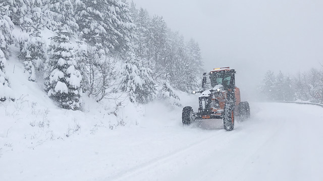 Doğu Anadolu'da yağan yoğun kar ve oluşan tipi köy yollarını kapattı.