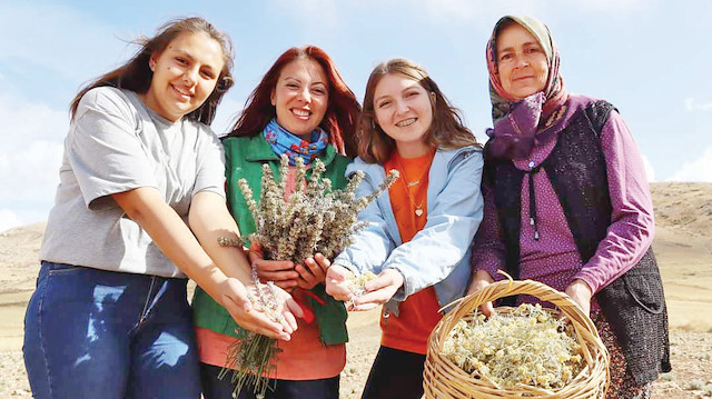 Beyaz yakalı kadın çiftçiler
 