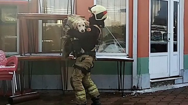 Az kalsın donuyordu: İtfaiye eri, göletten kurtardığı köpeği montuyla ısıttı