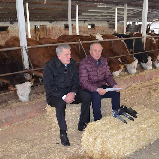 Muharrem İnce’den ahırda basın toplantısı: Büyükbaş hayvanları arkasına aldı saman balyalarını koltuk yaptı