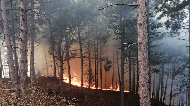 Ödemiş'te orman yangını