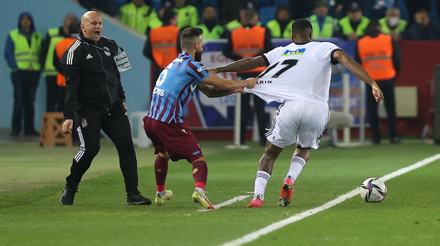 Siopis ve Larin