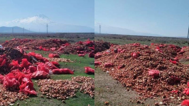 Aksaray'da boş arazilere dökülen soğanlar