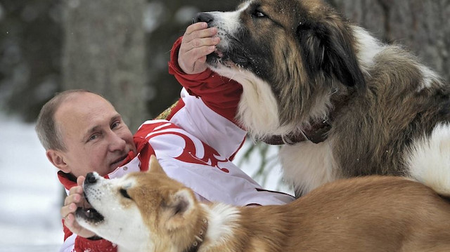 Putin'in destekçileri, Facebook gruplarında liderin güler yüzlü ve hayvansever fotoğraflarını paylaşıyor.