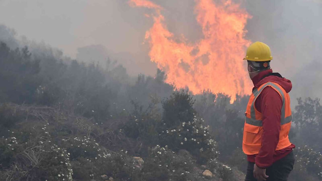 Bodrum’daki orman yangını 6 saat sonunda kontrol altına alındı: 'Sabotaj ihtimali var'