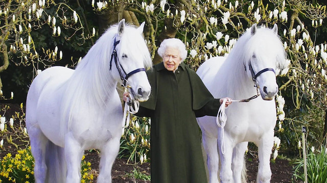 Fotoğraf, Kraliçe'nin zamanının büyük bir kısmını geçirdiği Windsor Kalesi'nde çekildi.