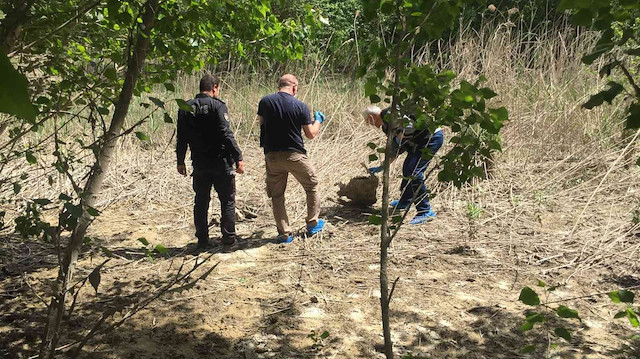 Adana’da korkunç olay: Seyhan Nehri kıyısında kafatası ve insan bedeni parçaları bulundu