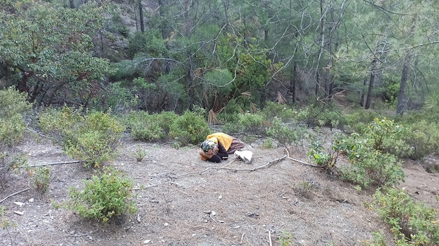 Kayıp olarak aranıyordu ormanda uyurken bulundu