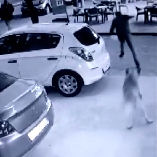 Kendisini kovalayan köpekten kaçarken düşüp yaralandı