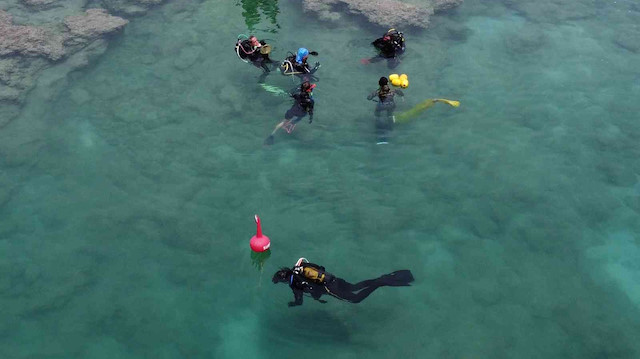 Mersin’de doğal ve yapay resiflerde popülasyon kuran istilacı zehirli uzun dikenli deniz kestanesinin türler arası rekabet ilişkilerinin belirlenmesi amacıyla proje başlatıldı. 