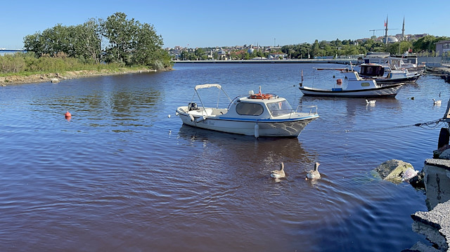 "Altın Boynuz" olarak da bilinen Haliç'te suyun renginin yer yer kahverengiye dönüştüğü gözlendi.