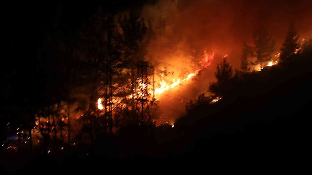 Alanya’da korkutan orman yangını: Üç dekar alan zarar gördü