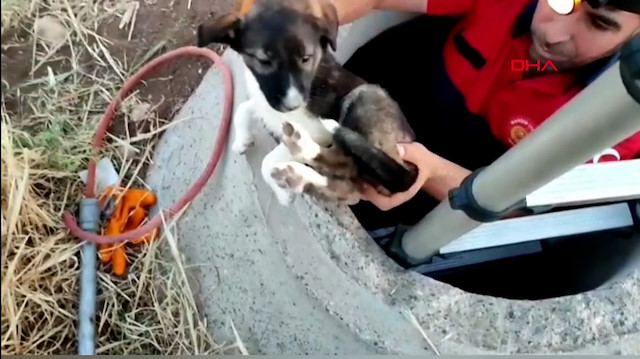 Kanalizasyon çukuruna düşen yavru köpeği itfaiye ekipleri kurtardı