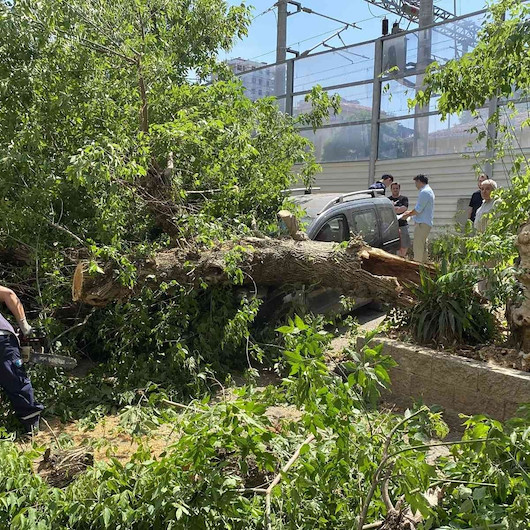 Kadıköy’de ağaç 2 otomobilin üzerine devrildi