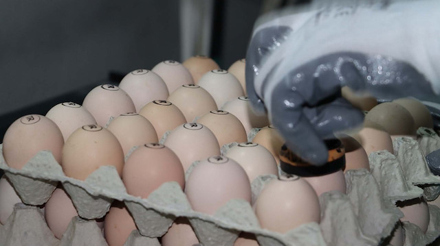 Rekabet kurumu yumurta fiyatları ile ilgili soruşturma başlattı.