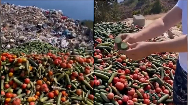 Antalya'da çöpe atılan sebzeleri görüntüleyen vatandaş isyan etti: Bu nasıl bir insanlıktır