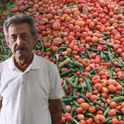 Antalya'da çöpe dökülen kilolarca sebzeyle ilgili akla ziyan açıklama: Sofraya uygun değiller