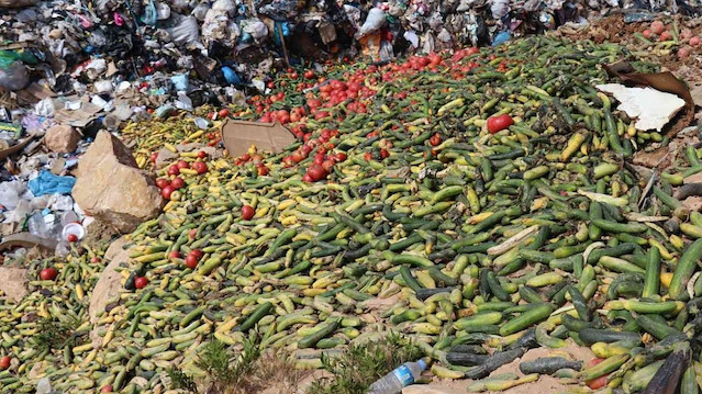 Ticaret Bakanlığı Antalya'da çöpe dökülen sebzelerle ilgili inceleme başlattı: En ağır yaptırım uygulanacak