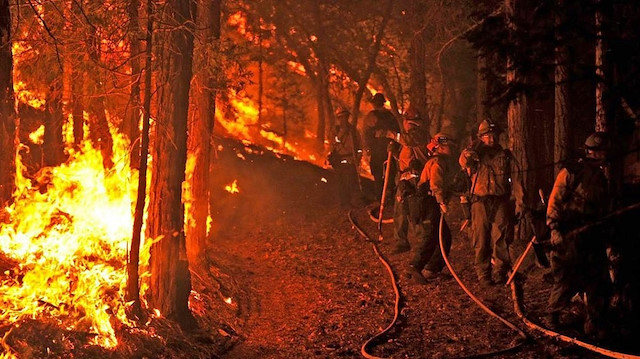 Dünyayı saran orman yangınları hakkında 5 soru- 5 cevap