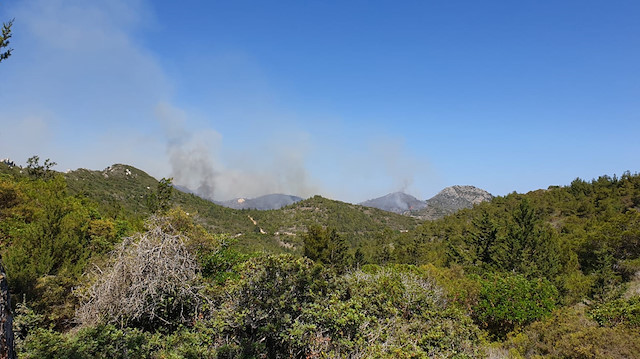 KKTC'deki orman yangınına müdahale sürüyor: Bin hektardan fazla alan yandı