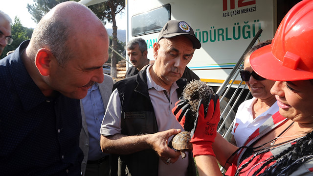 Hisarönü Mahallesi Bördübet mevkisinde ormanlık alanda 21 Haziran'da henüz belirlenemeyen nedenle başlayan yangın devam ediyor.