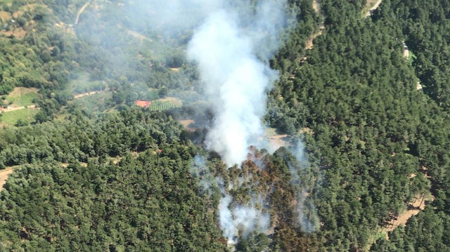 İzmir'deki orman yangını kontrol altına alındı.