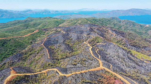 Yangında 4 bin 500 hektar alan zarar gördü.