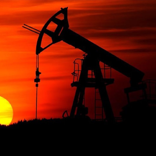 Ekonomik kriz girdabındaki Sri Lanka'nın iki bakanı petrol için Rusya'ya gidiyor
