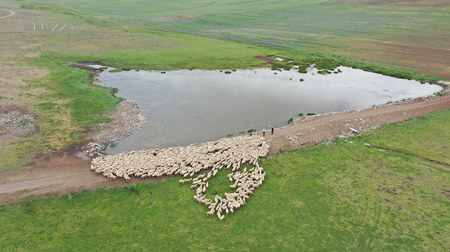 Meradaki koyunların içme suyu sıkıntısını gidermek amacıyla pınar ve gözelerin suyunun aktığı vadilerin önüne iş makinesiyle toprak set çekilerek 8 gölet yapıldı.
