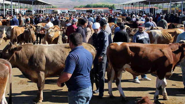 Türkiye'nin en büyük canlı hayvan pazarında kurban telaşı