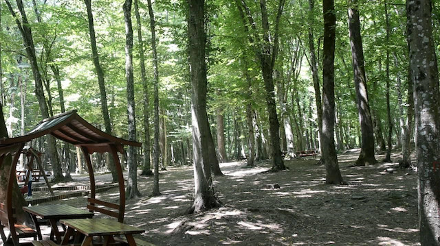 Gaziantep'te bazı ormanlık alanlarda piknik yasaklandı