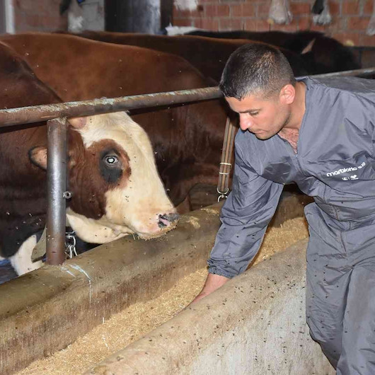 Devlet teşvikiyle kendi işini kurdu: Üretimi 10 katına çıkardı