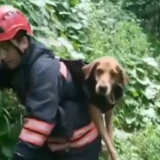 İtfaiye personeli dereye düşerek yaralanan köpeği sırtından taşıdı