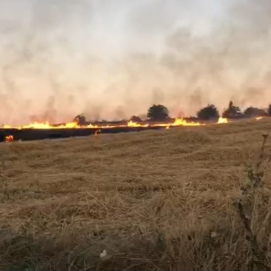 Çorlu'da yangın: 170 dönüm alandaki bezelye ve buğday küle döndü