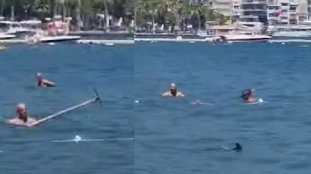 Türkiye bunu konuşuyor: Zarganayı köpek balığı sandılar, paspasla kovaladılar