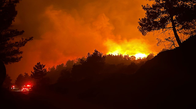 Datça'daki orman yangını.