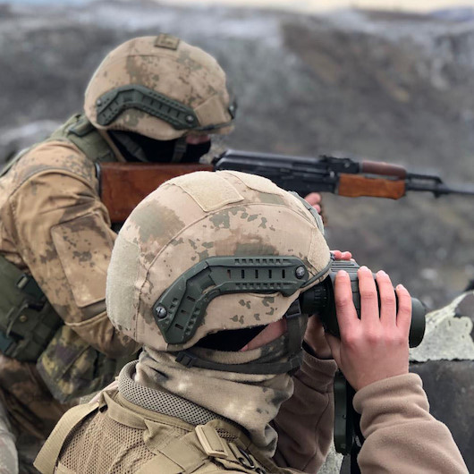 Bitlis'te biri gri kategoride 2 terörist etkisiz hale getirildi