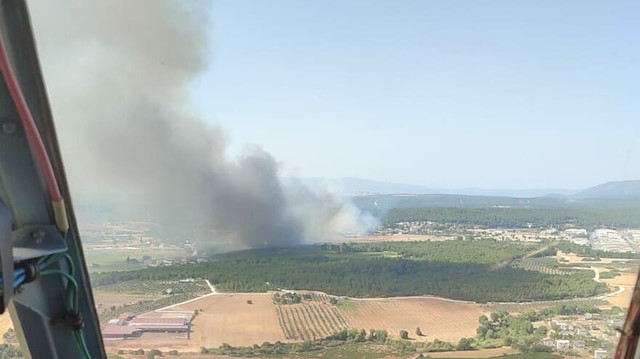 İzmir’de orman yangını.