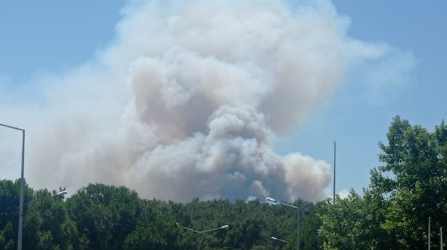 Milas'taki orman yangını kısa sürede kontrol altına alındı. 